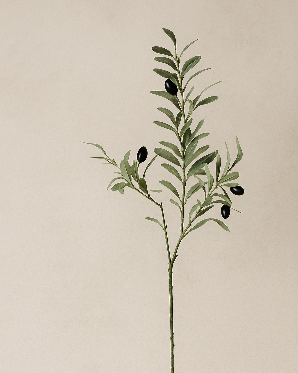Olive Spray