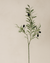 Olive Spray