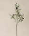 Olive Spray