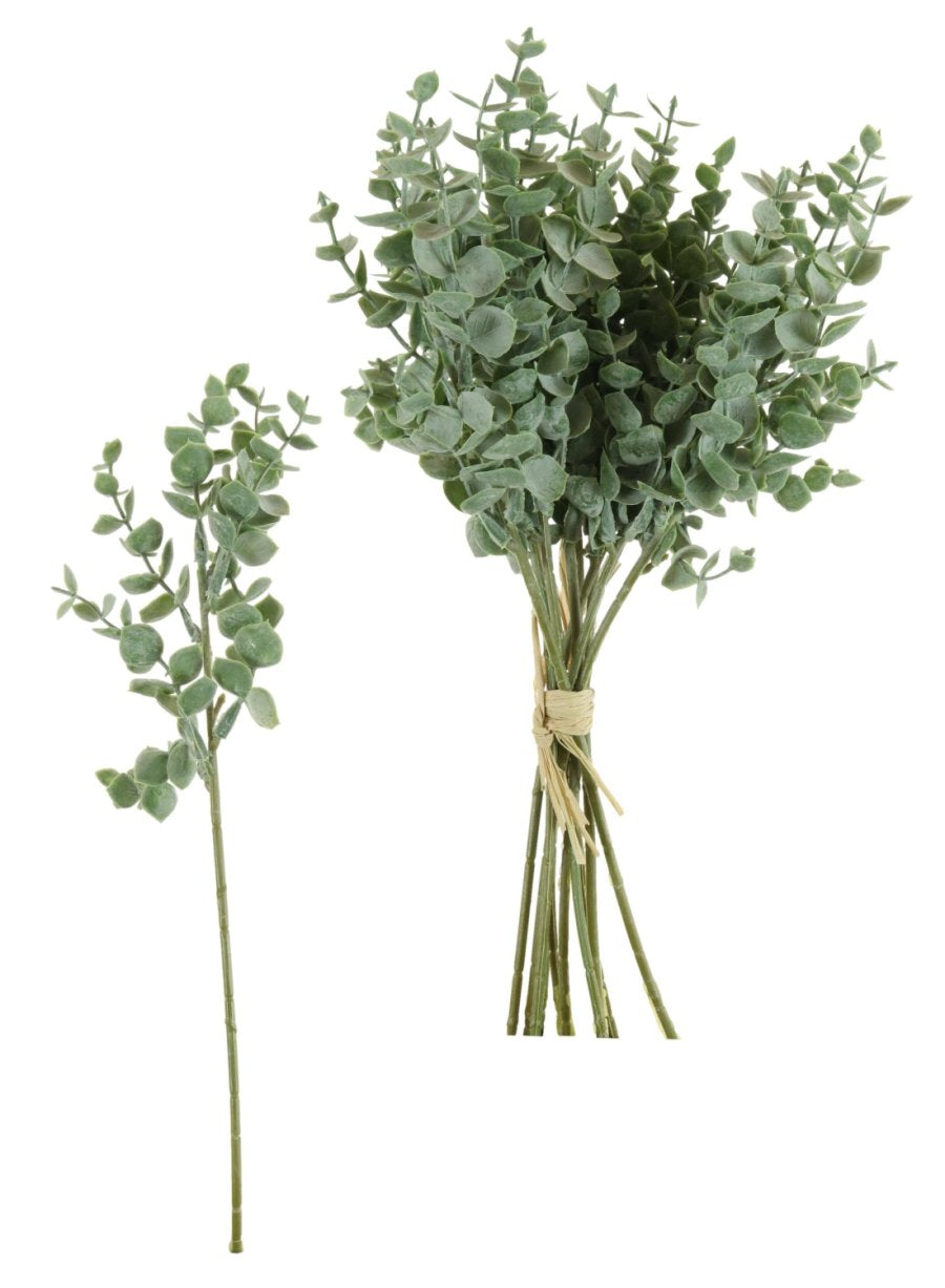 Eucalyptus