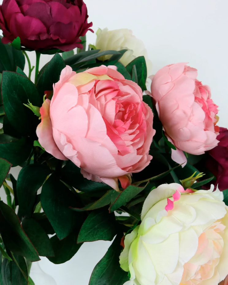 Peony