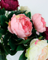 Peony