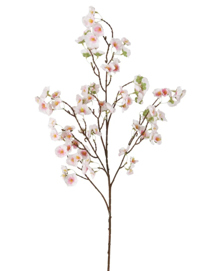 Blossom