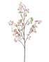 Blossom
