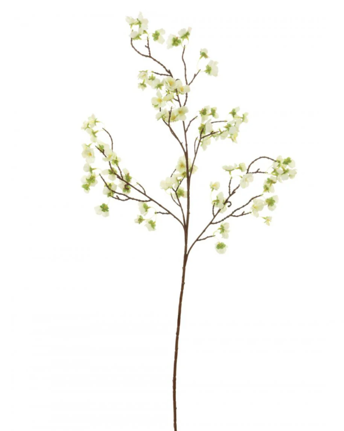 Blossom