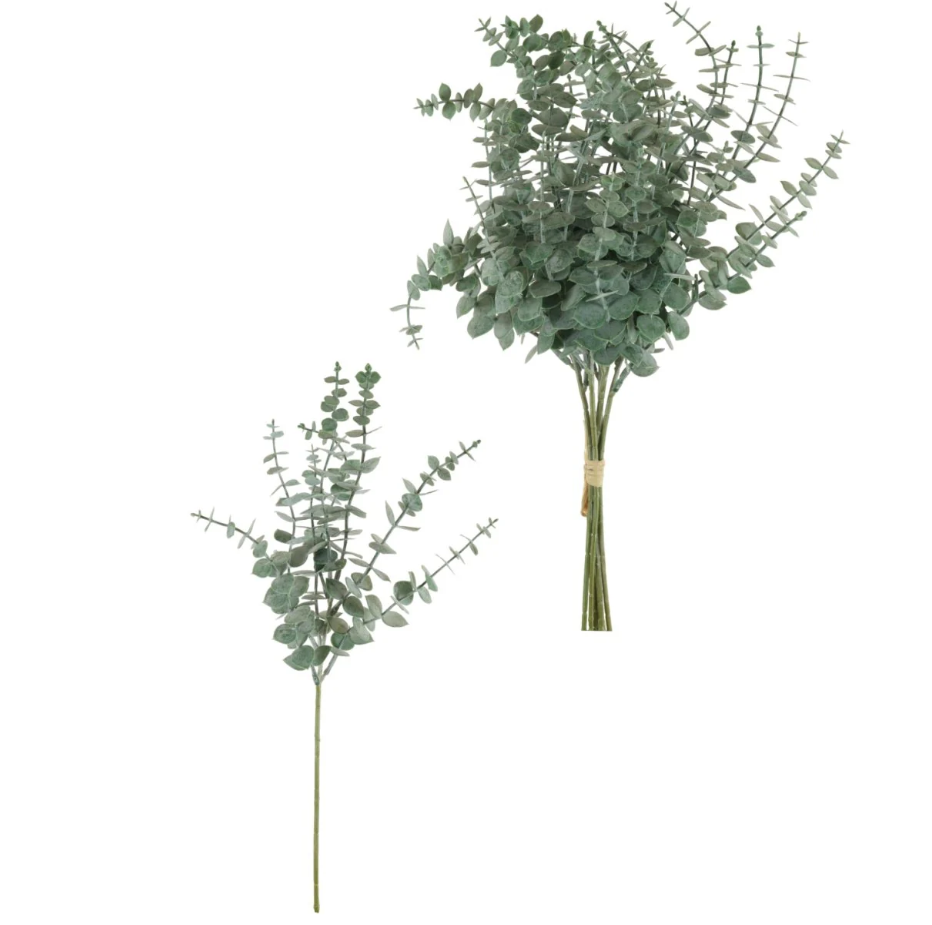 Eucalyptus