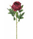 Peony