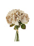 Dried Touch Roses Bouquet